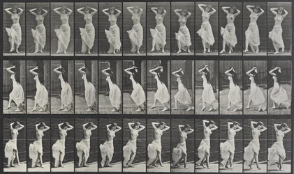 Animal Locomotion Platte 190